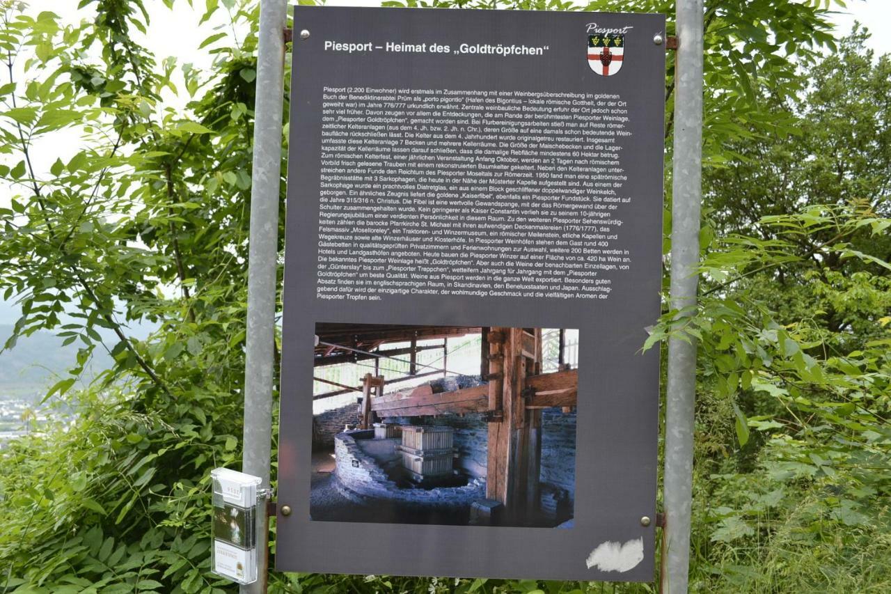Kleines Ferienhaus Nicole Piesport Exterior photo